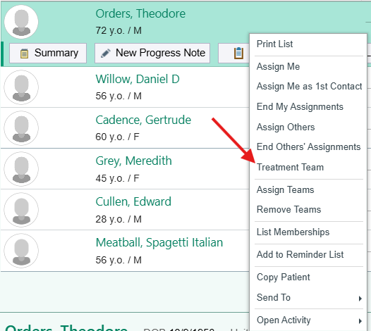 Right-click menu on a patient row with Treatment Team