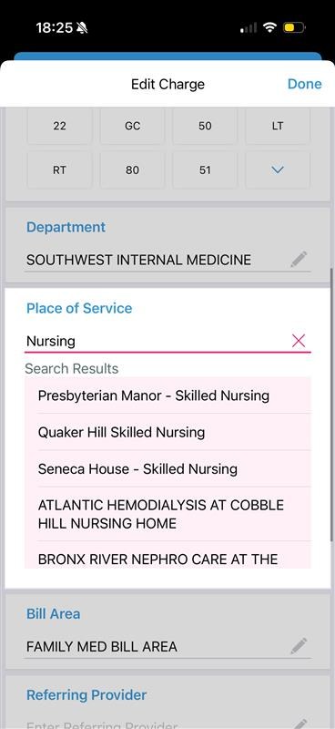 Place of Service search for Nursing listing skilled nursing facilities